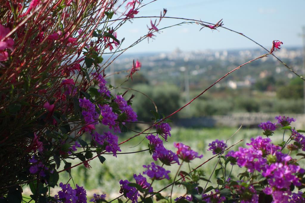 Masseria Serralta 로코로톤도 외부 사진